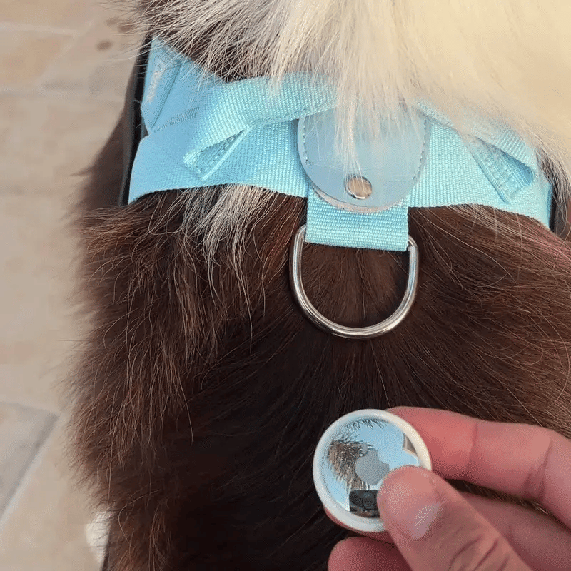 Never Lose Them. AirTag Holder