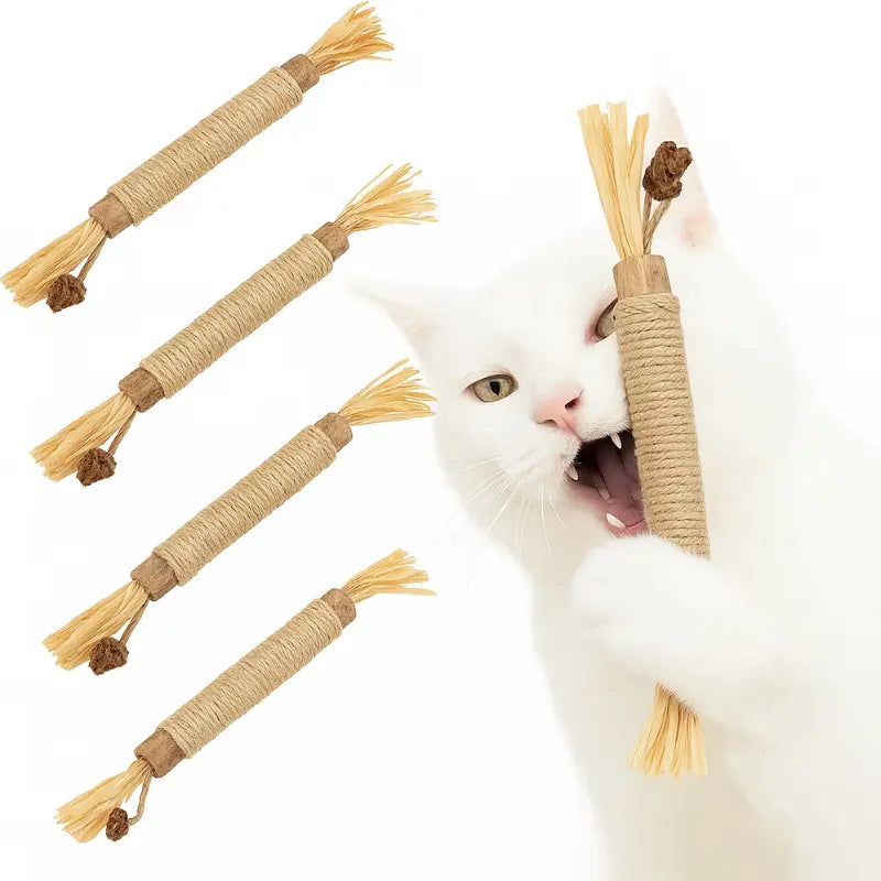 Catnip Tooth Cleaning Toy (5x)