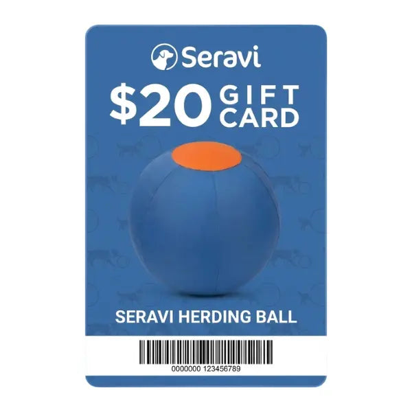 $20 Seravi Gift Card