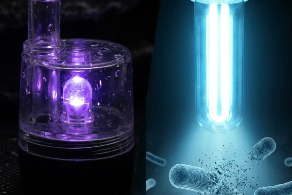 Real UVC, Not a Purple LED