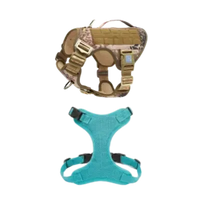 Standard Strap Harness