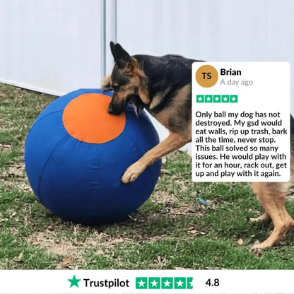 Seravi Herding Ball