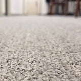 Carpet & Rugs