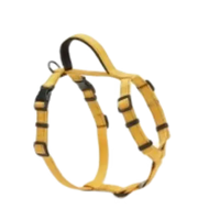Basic Mesh Harness