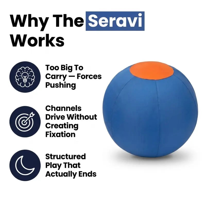 Seravi Herding Ball