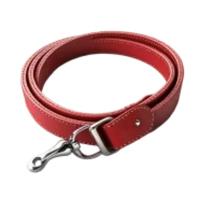 Regular Collar