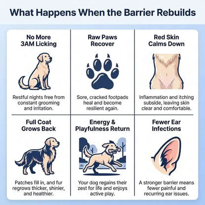 BarkBarrier Cold-Pressed Collagen