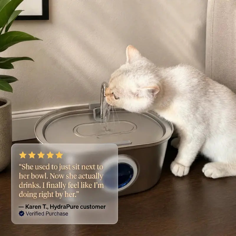 HydraPure 316 Pro Fountain