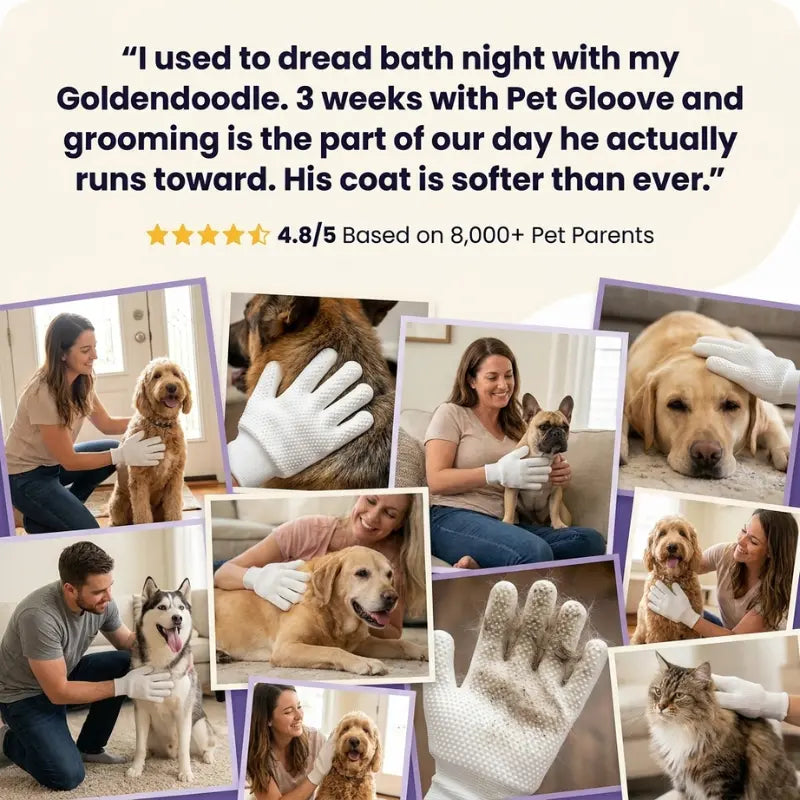 Pet Gloove