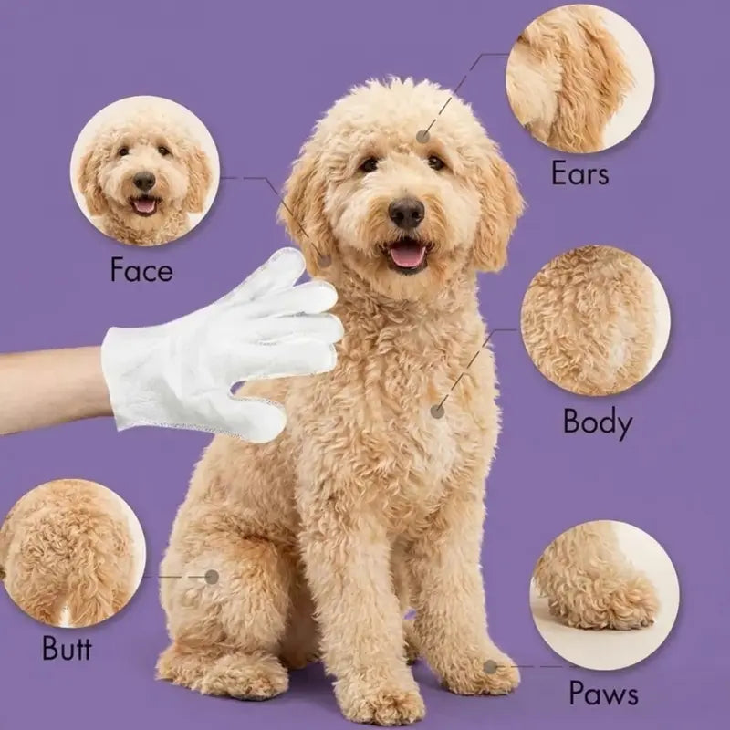 Pet Gloove