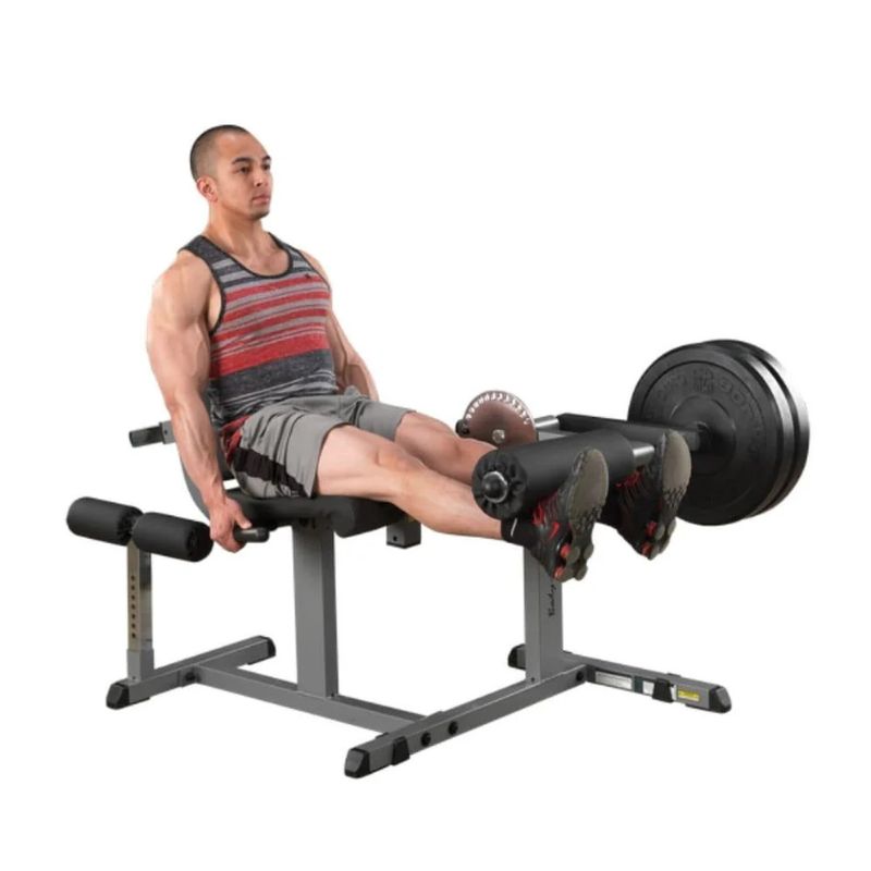 Body-Solid Seated Leg Extension/Leg Curl Machine in Silver