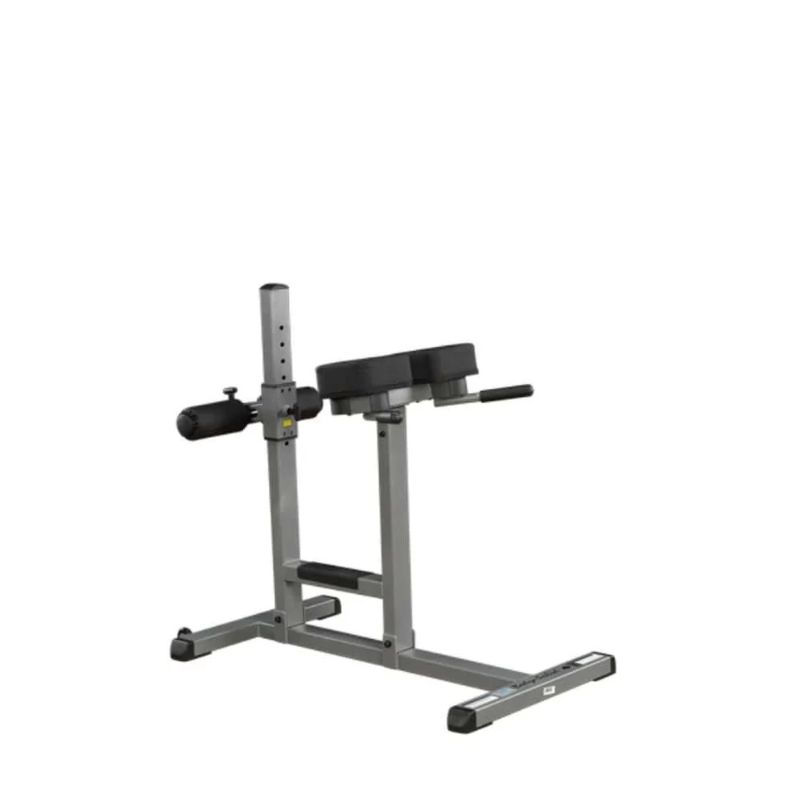 Body-Solid Roman Chair in Silver
