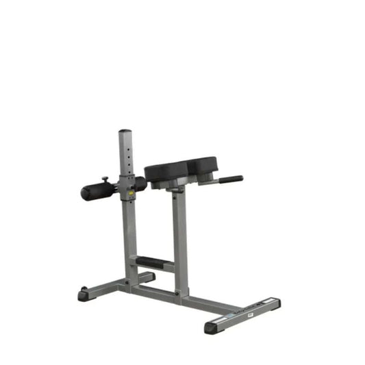 Body-Solid Roman Chair in Silver