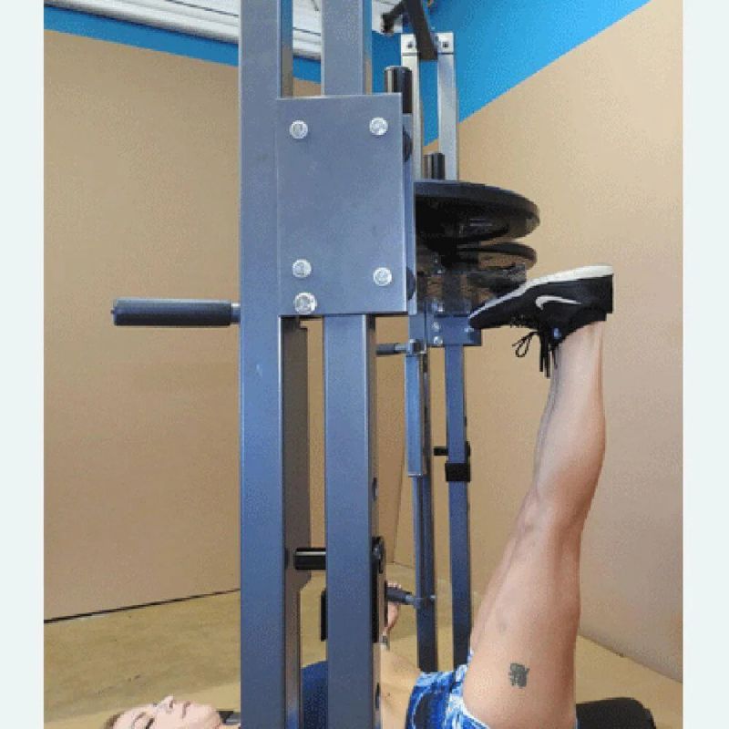 TDS Fitness Premier Vertical Leg Press in Silver