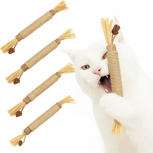 Catnip Tooth Cleaning Toy (5x)