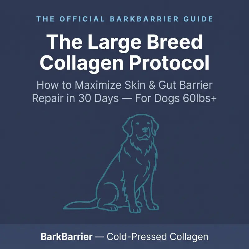 The Large Breed Collagen Protocol