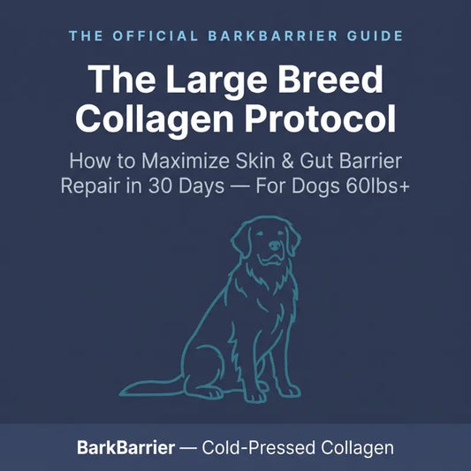 The Large Breed Collagen Protocol